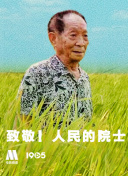 中文字幕在线播放